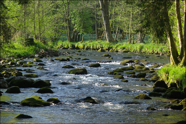 88640-Les Evelines, commune de Granges-Aumontzey.