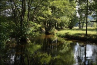 88540- Granges-sur-Vologne.  La Vologne.